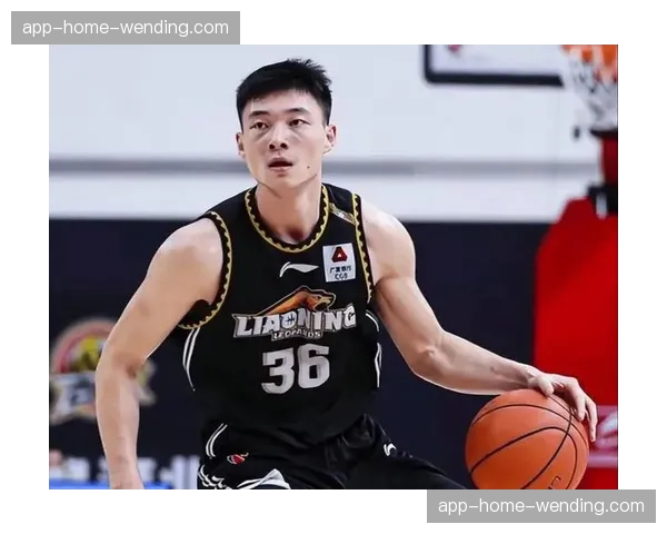 辽宁福建近五次交锋辽宁场均篮板51.2个 内线优势巨大 辽宁福建近五次交锋辽宁场均篮板51.2个 内线优势巨大